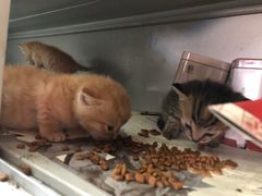 -上海市龙华烈士陵园