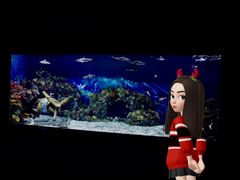 -上海海昌海洋公园