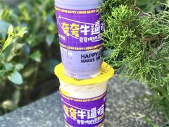 -快乐柠檬happylemon(日月光店)