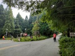 -武陵山森林公园