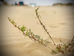-库伦旗银沙湾旅游景区