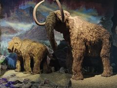 -抚顺煤矿博物馆