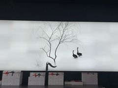 -BLACKSWAN黑天鹅(环球店)