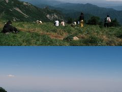 -朱雀国家森林公园