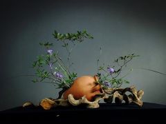 -荷兰布尔玛国际花艺学院