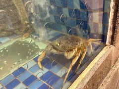 -顺峰(南二环店)