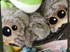 -上海大自然野生昆虫馆(东方明珠·爬宠昆虫探索中心)