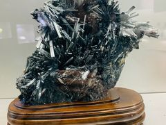 -甘肃地质博物馆