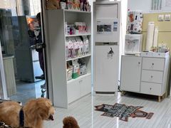 -纳吉亚猫专科动物医院(康都外科中心)