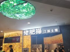 -佬肥猫(周浦万达店)