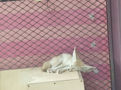 -无锡动物园·太湖欢乐园
