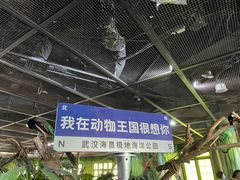 -海合安武汉极地海洋公园