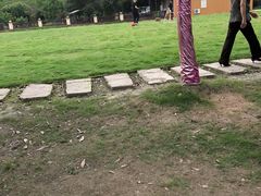-洪湖家庭农场·团建·露营·会议