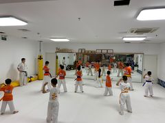 -极真空手道疾风道场(虹口凉城店)