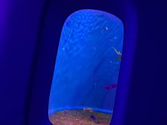 -欢乐海岸海洋奇梦馆