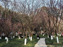 -绵阳人民公园(涪城区)