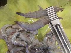 -阪尚皇·原切牛排·烤肉火锅自助(北京路店)