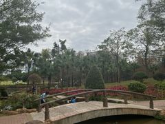 -深圳龙潭公园