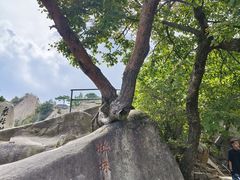-丹东凤凰山景区