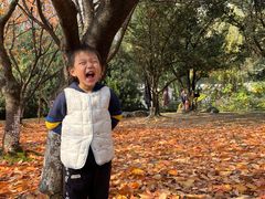 -苏州河梦清园环保主题公园