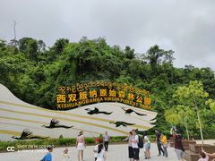 -西双版纳原始森林公园