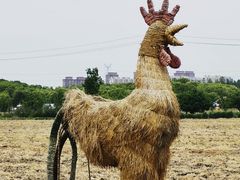 -嘉北郊野公园