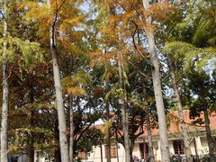 -上海长兴岛郊野公园