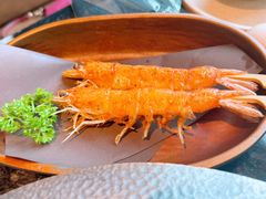 -牛New寿喜烧(新六百店)