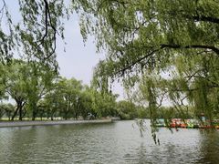 -北陵公园