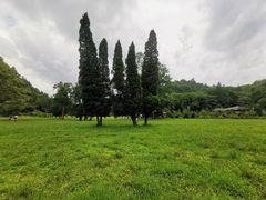 -贵州省植物园