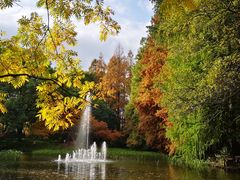 -上海共青森林公园