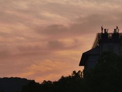 -山·烤辣鸡韩国料理(西溪路店)