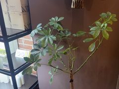 -泰合玺·精油疗愈SPA(南京光环花园城店)