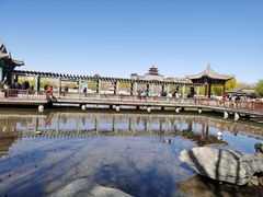 -莲花池公园