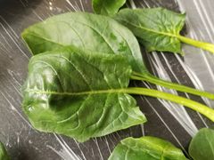 -鑫龙火锅城(青岛分店)