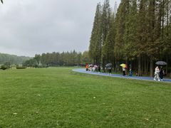 -宜兴龙背山森林公园