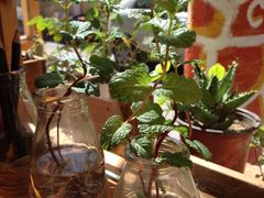 -长颈鹿咖啡(大学路店)