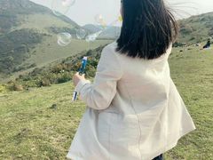 -大姆山草场
