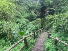 -海口火山口国家地质公园