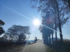 -东湖落雁景区