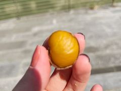 -阿男野栗王(金门路店)