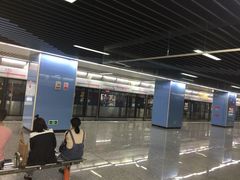 -大龙山(地铁站)