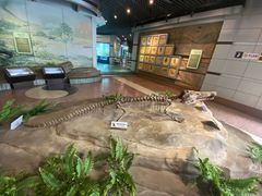 -自贡恐龙博物馆