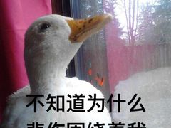 -驴世家驴肉火烧·凉皮·胡辣汤(五道口店)