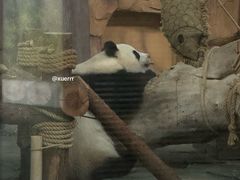 -泉州海丝野生动物世界