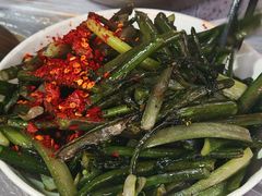 -食神又名厕所兔