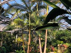 -北京植物园-展览温室