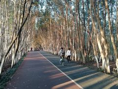 -艾溪湖湿地公园