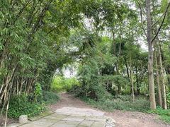 -桤木河湿地公园