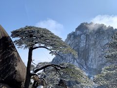 -黄山风景区